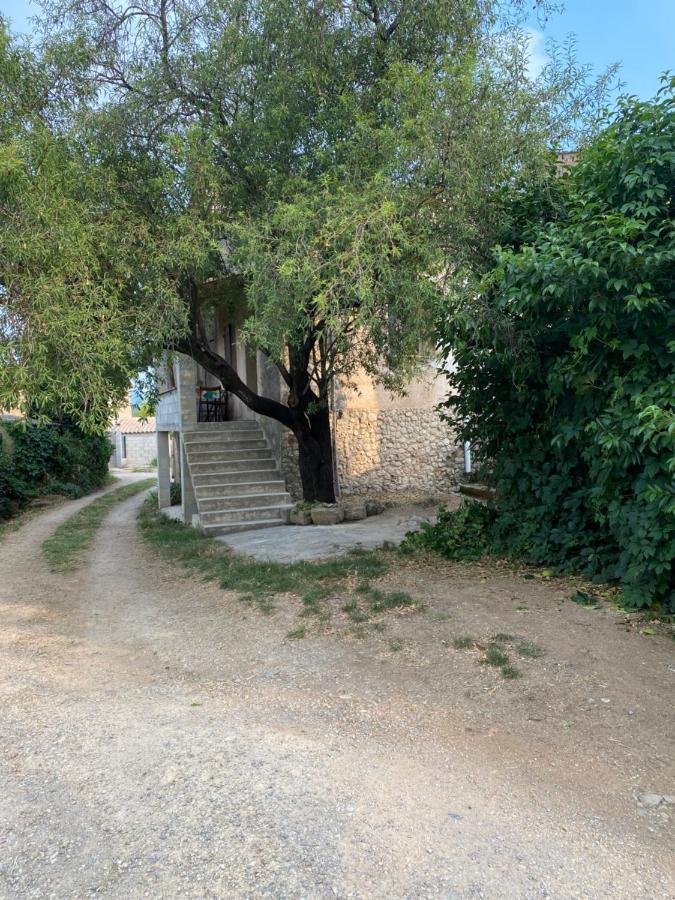 Maison A 20 Min Des Plages De Sainte Maxime Le Muy Extérieur photo